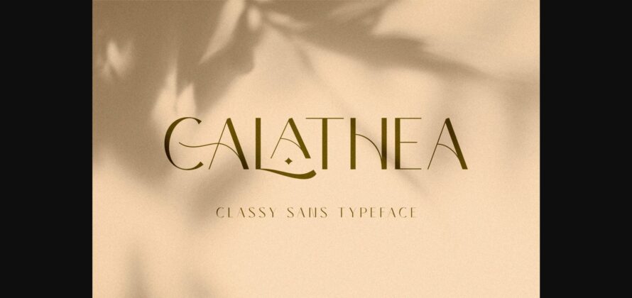 Calathea Font Poster 3