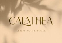 Calathea Font Poster 1