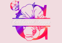 California Poppy Split Font Poster 1