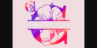 California Poppy Split Font Poster 1