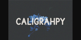 Caligrahpy Font Poster 1