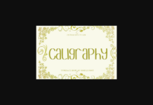 Caligraphy Font Poster 1