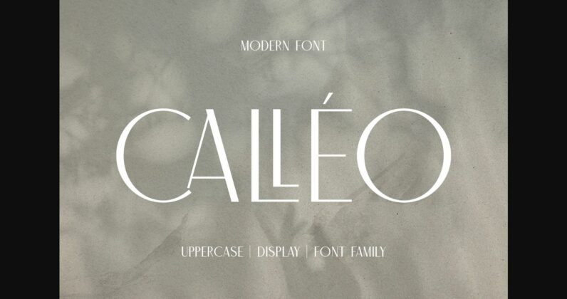 Calleo Font Poster 3