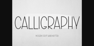 Calligraphy Font Poster 1