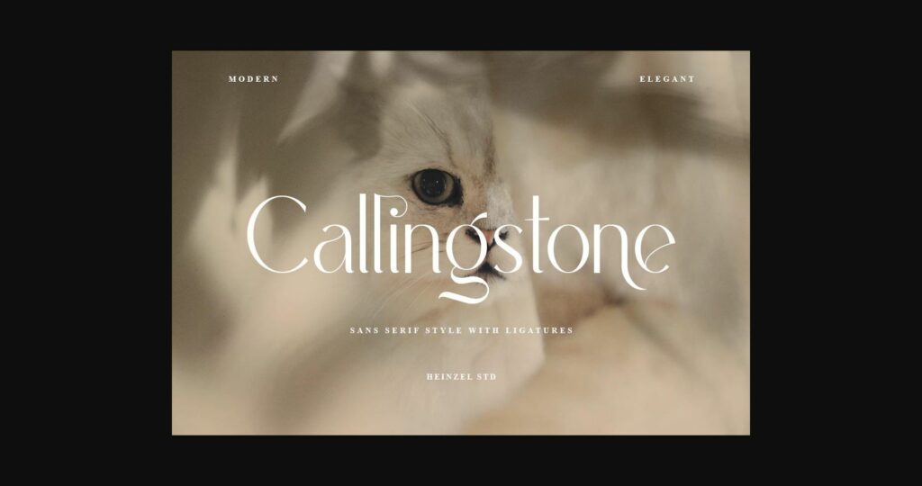 Callingstone Font Poster 3