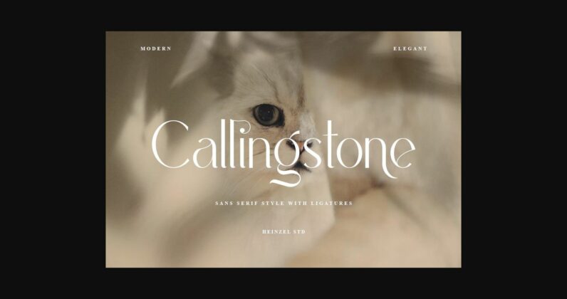 Callingstone Font Poster 3