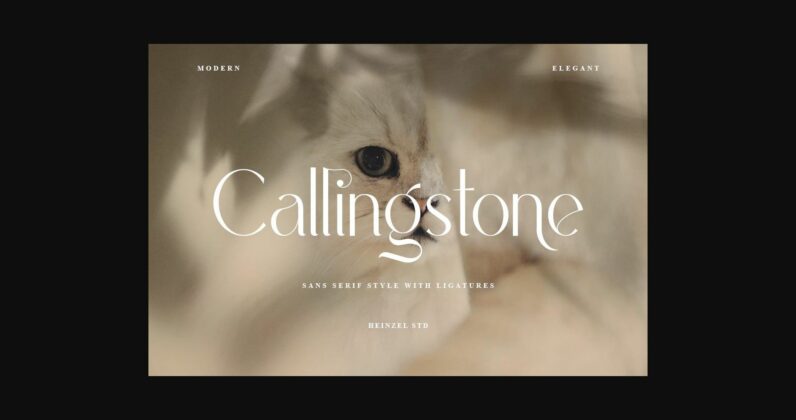 Callingstone Font Poster 1