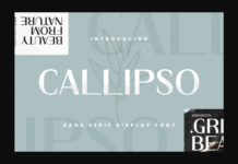 Callipso Font Poster 1