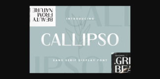 Callipso Font Poster 1