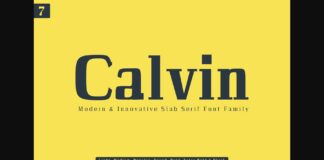 Calvin Slab Poster 1