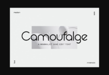 Camaufalge Font Poster 1