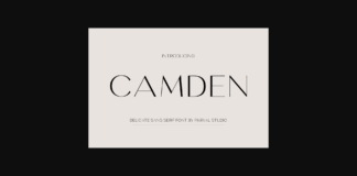 Camden Font Poster 1