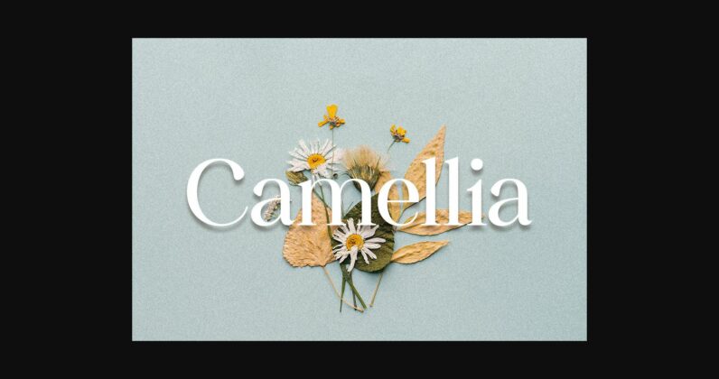 Camellia Font Poster 3
