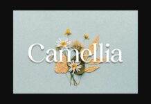 Camellia Font Poster 1