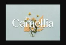 Camellia Font Camellia Font Poster 1