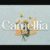 Camellia Font