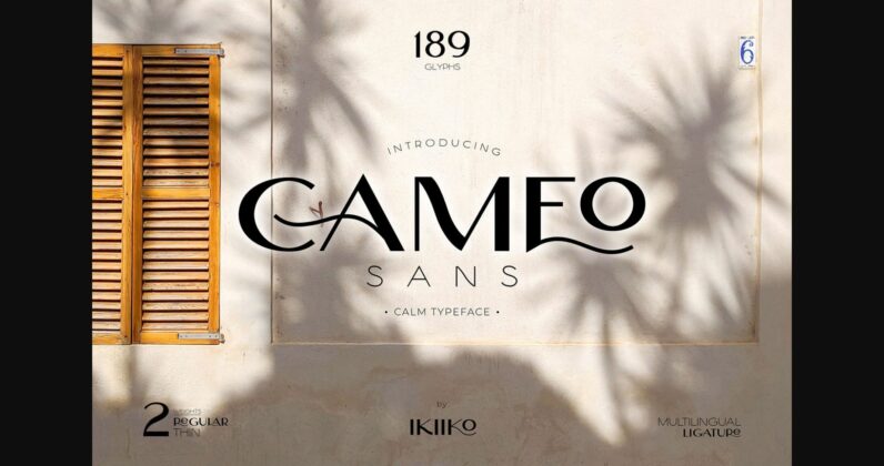 Cameo Font Poster 3