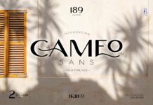 Cameo Font Poster 1