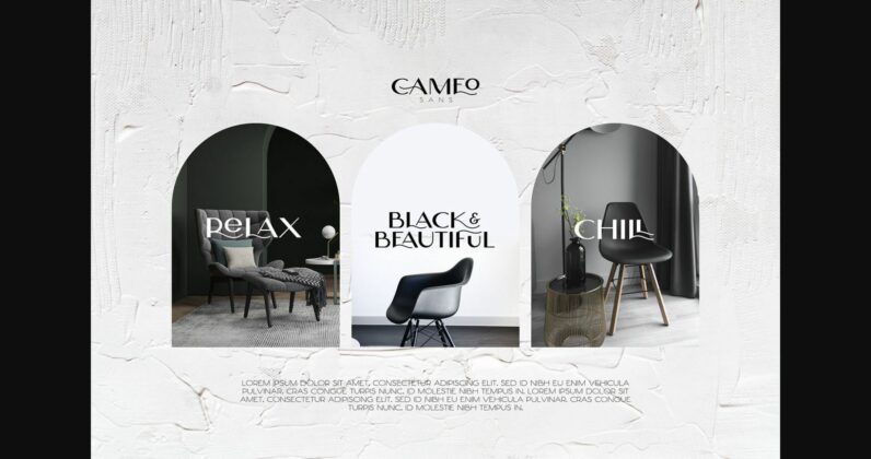 Cameo Font Poster 5