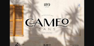 Cameo Font Poster 1