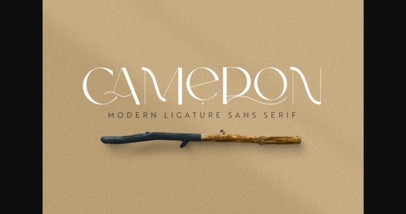 Cameron Font Poster 1