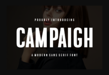 Campaigh Font Poster 1