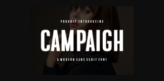 Campaigh Font Poster 1