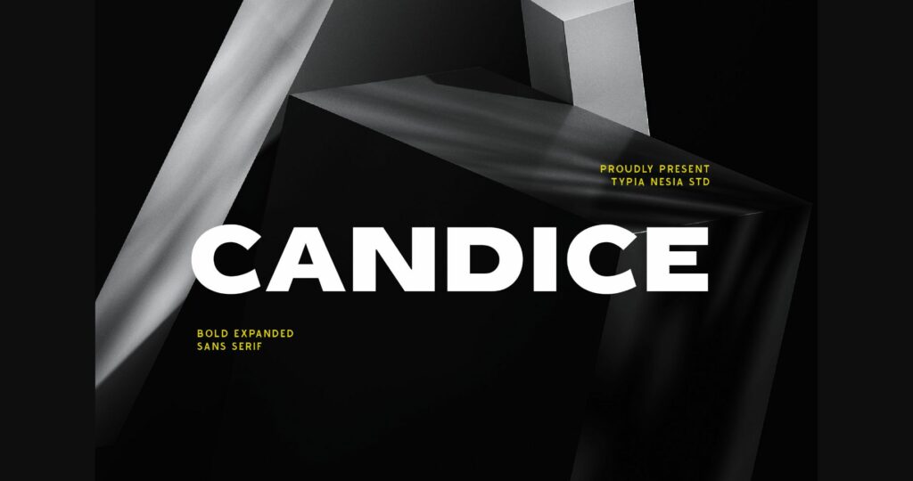 Candice Font Poster 3