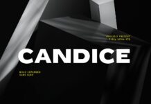 Candice Font Poster 1