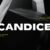 Candice Font