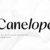 Canelope Font