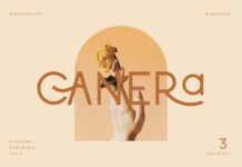 Canera Font Poster 1