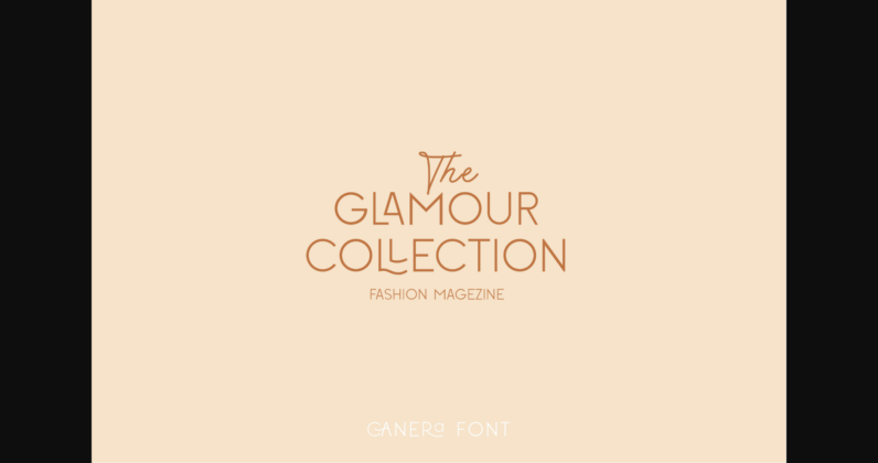 Canera Font Poster 4