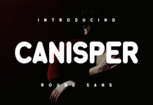 Canisper Font Poster 1