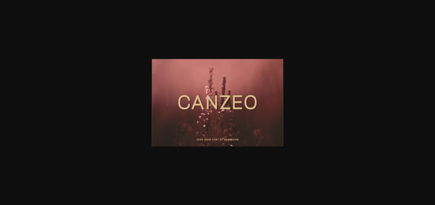 Canzeo Font Poster 1