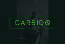 Carbido Font Poster 1