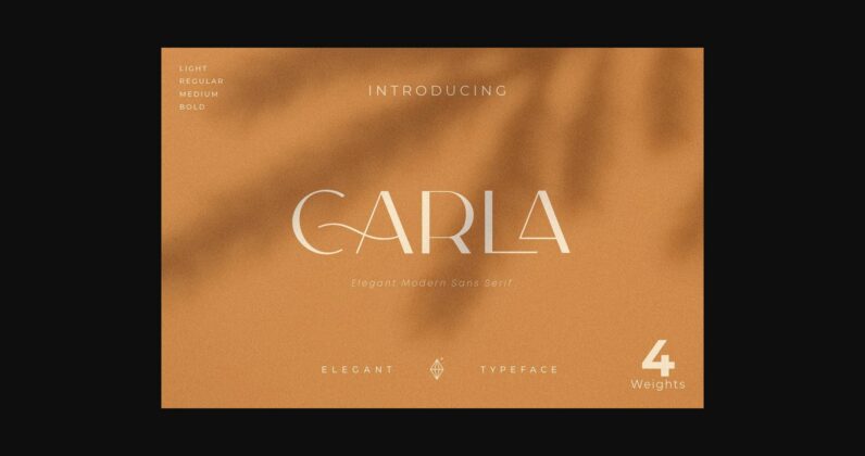 Carla Font Poster 3