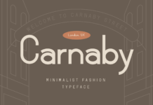 Carnaby Font Poster 1