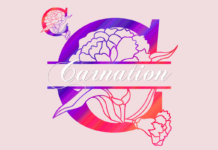 Carnation Font Poster 1