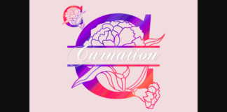 Carnation Font Poster 1