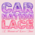 Carnation Lace Font