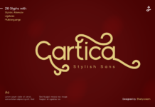 Cartica Font Poster 1