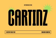 Cartinz Font Poster 1