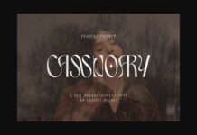 Cassnoary Font Poster 1