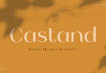 Castand Font Poster 1