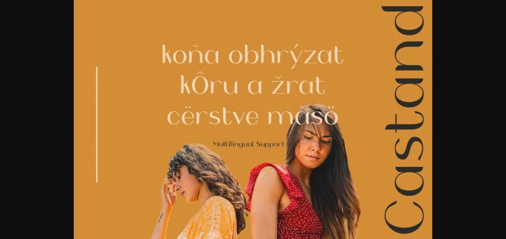 Castand Font Poster 8