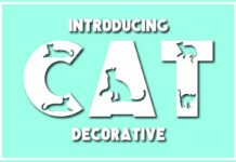Cat Font Poster 1