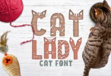 Cat Lady Font Poster 1