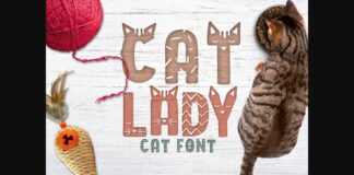 Cat Lady Font Poster 1