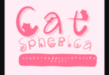 Cat Spherical Font Poster 1